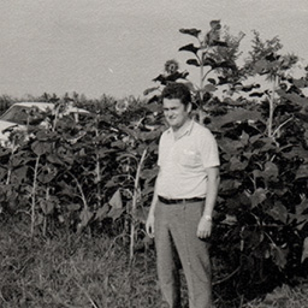 1970&#039;s: Plant Variety Breeding